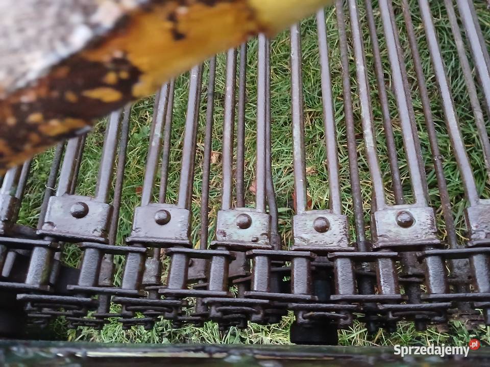 Kopaczka elewatorowa Kopaczka do ziemniaków łódzkie Rzgów