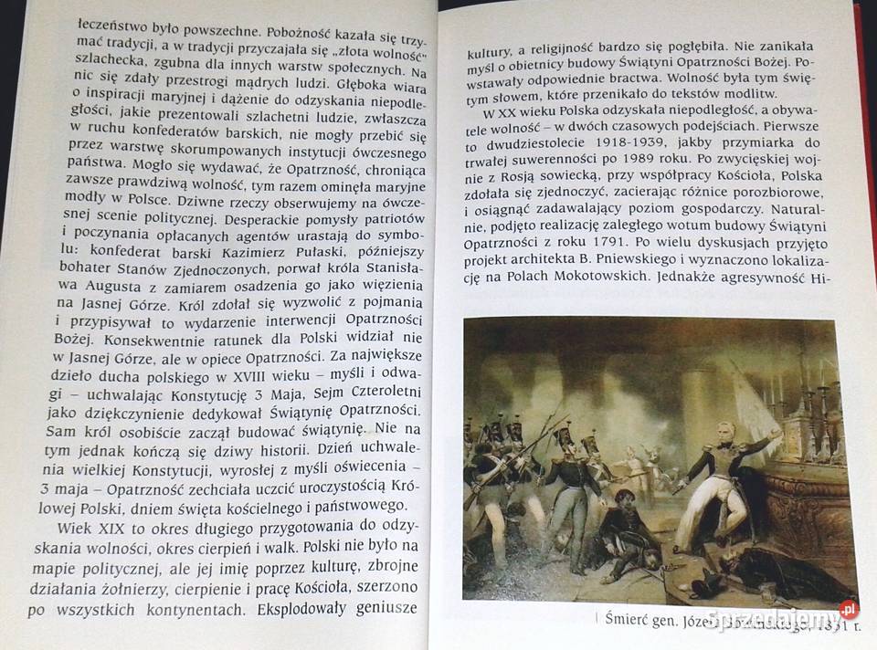 Opatrzność Boża i jej świątynia w Polsce Józef Rok wydania 2007 Chełm