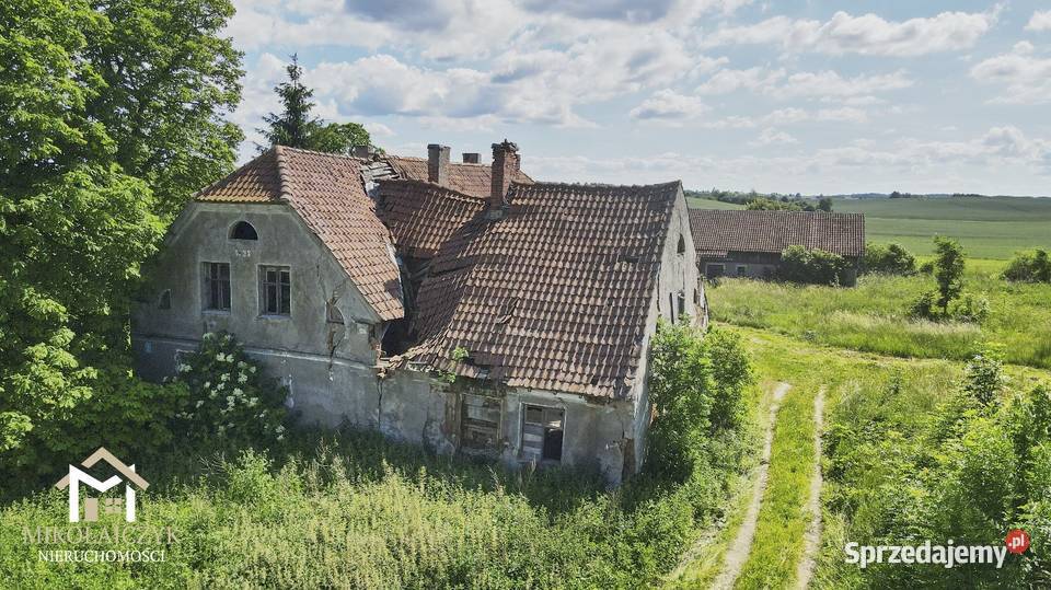 Siedlisko w otoczeniu natury 35 ha las Warmiany