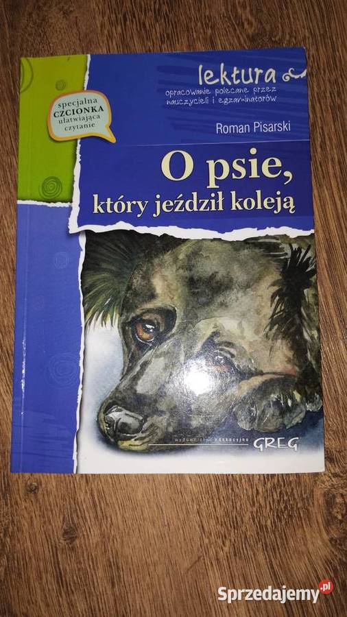 O psie który jeździł koleją