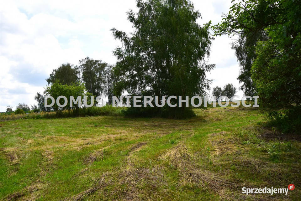 sprzedaży działki 7075m2 Zacywilki łódzkie
