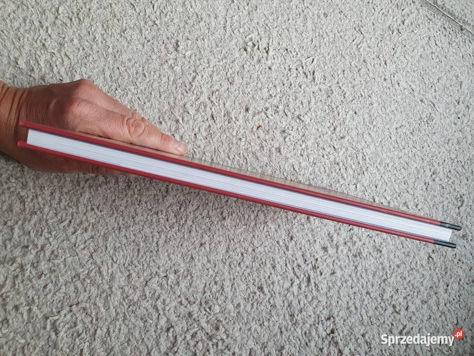 Superbohaterowie Marvela Squirrel Girl