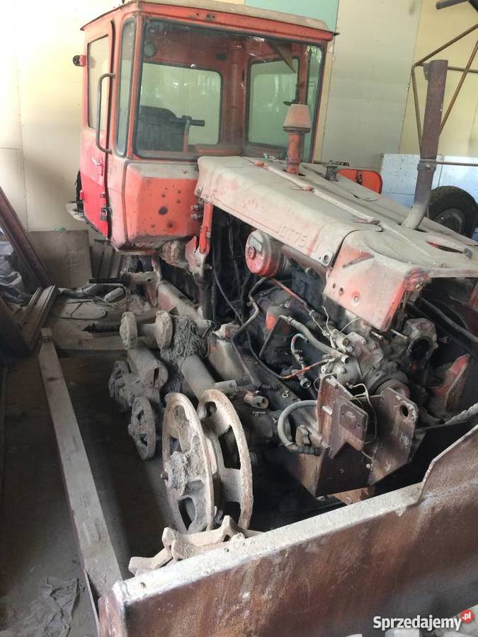 Traktor Gąsienicowy Błotniak DT75 BS4 małopolskie Żabno