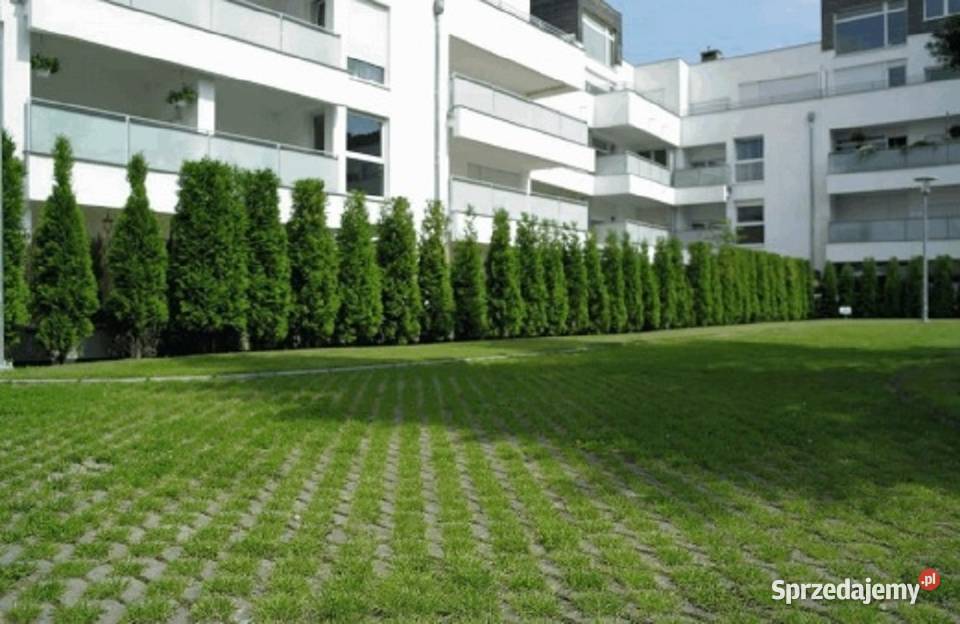 Płyty ażurowe MEBA 40x60x10 płyta betonowa EKO mazowieckie Mińsk Mazowiecki sprzedam