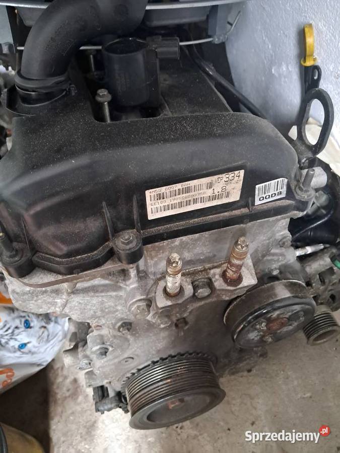 Silnik ford 18 benzyna QQDB 125 Skarżysko-Kamienna