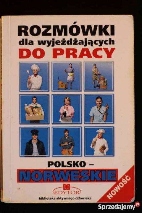 Słownik rozmówki polski norweski nauka języka Norwegia praca