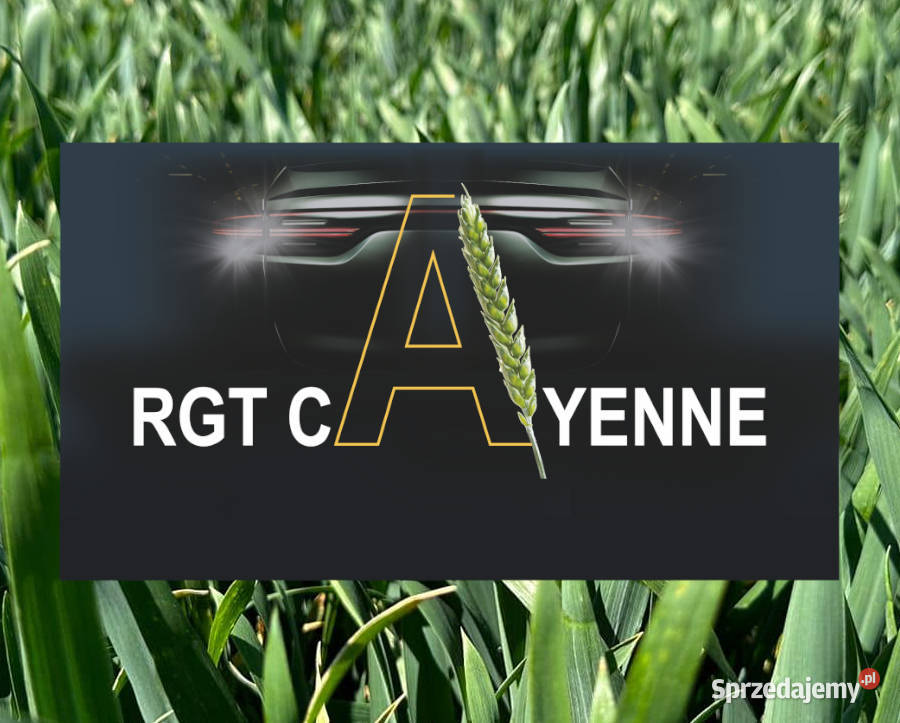 Pszenica ozima TopFarms RTG Cayenne PHR Essa SU kujawsko-pomorskie sprzedam