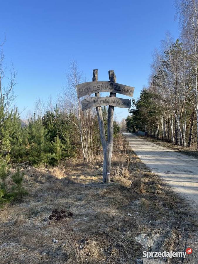 Poleski Park Narodowy Działka 15 ar Jezioro lubelskie Wytyczno