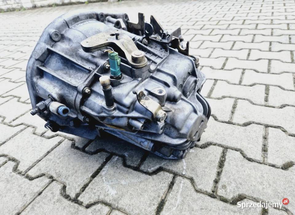 6 BIEG MANUALNA SKRZYNIA BIEGÓW 19 DCI RENAULT osobowe Działoszyce