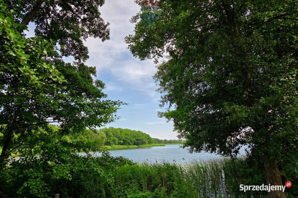 Działka jeziorze Pniew 155m Buszewo