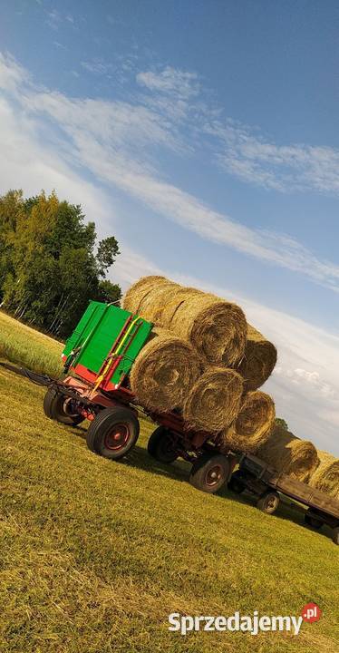 Siano w belach pierwszy pokos Walinna