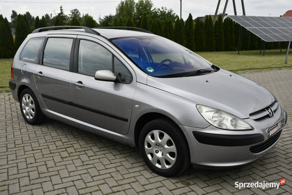 Peugeot 307 16B DUDKI11 Klimatronic 2 łódzkie Kutno