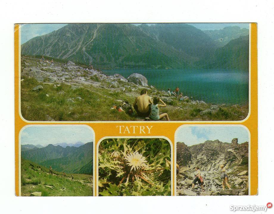 TATRY STAW GĄSIENICOWY POCZTÓWKA WIELOWIDOKOWA świętokrzyskie Krynki sprzedam