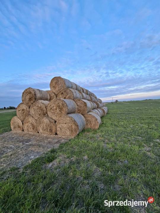 Sprzedam słomę z sezonu 2025 Karmy i pasze