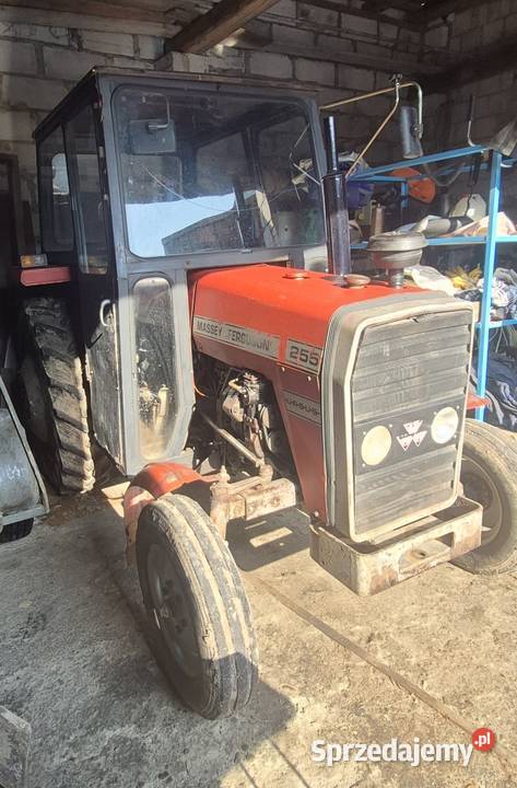 MF 255 1988r Massey Ferguson Grajewo
