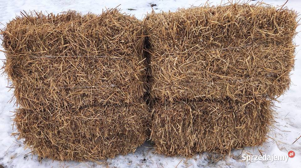 Słoma żytnia w kostce podłoże do ścielenia Łuków sprzedam