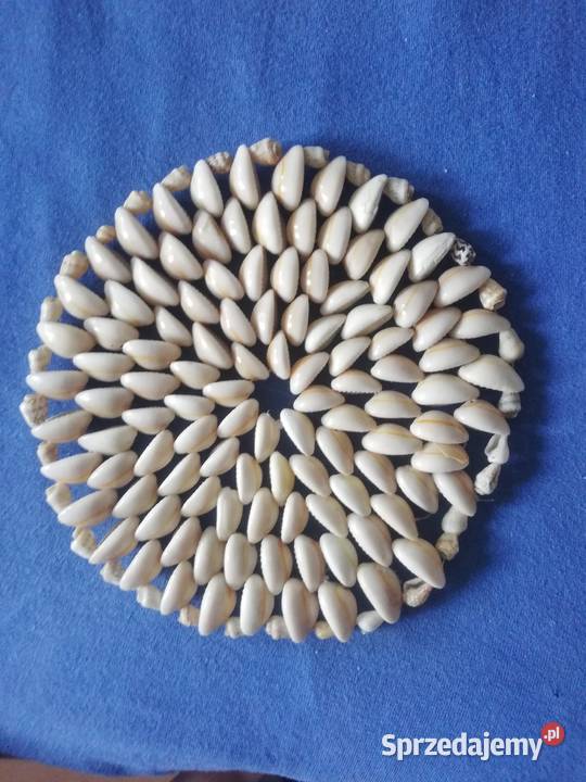 Serwetka z muszelek mazowieckie