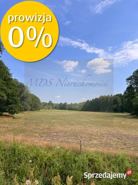 działka z WZ Węgrów Szamoty