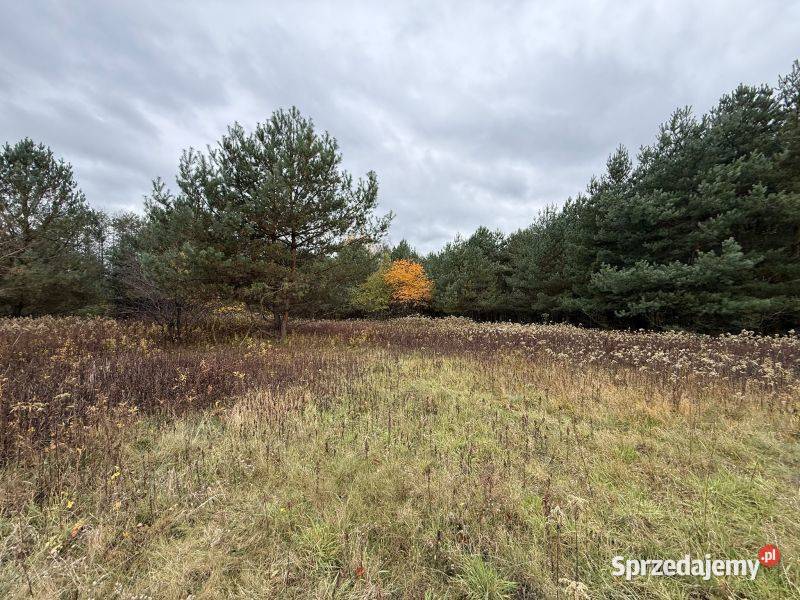 Duża działka z warunkami zabudowy w mazowieckie