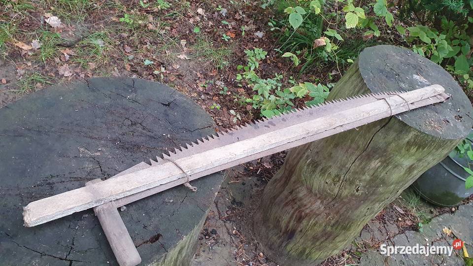 Piła stara długa dwuręczna dwuosobowa stara Warszawa