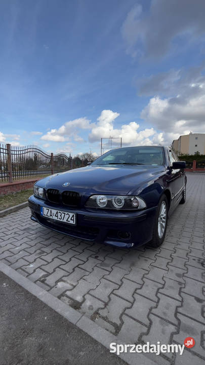Sprzedam BMW e39 Łotów