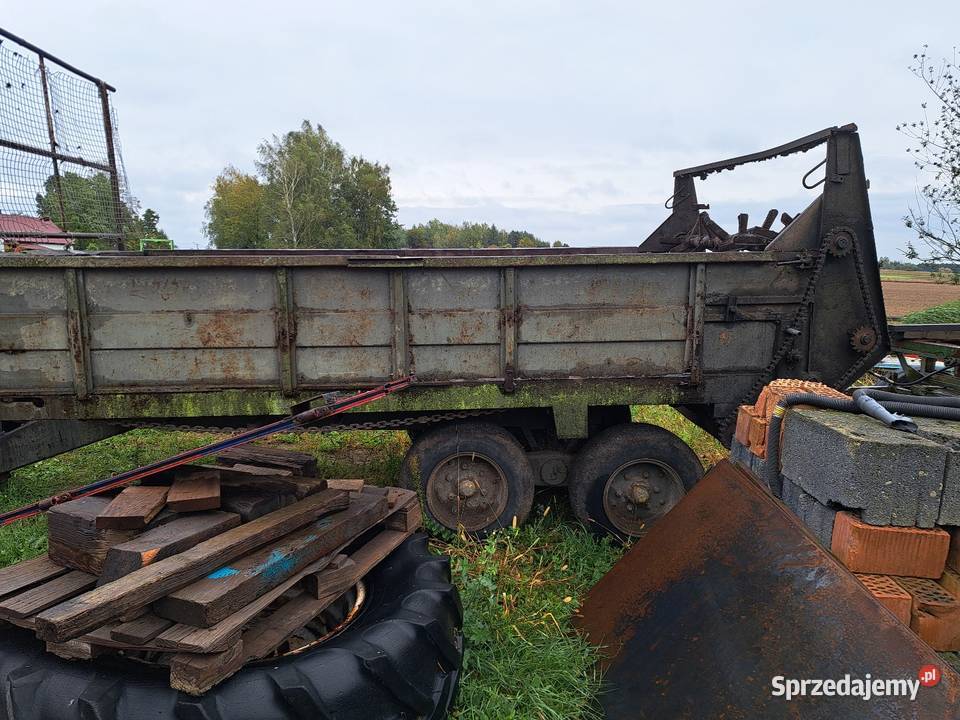 Rozrzutnik 6 Ton tandem