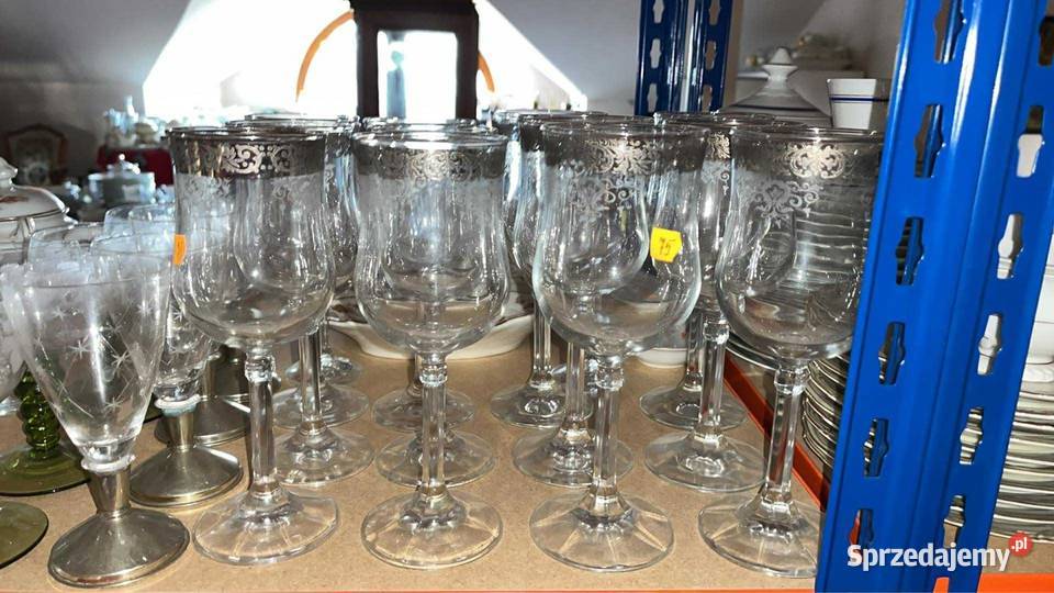 Lenox Moonspun Crystal platyna Kielich do wody