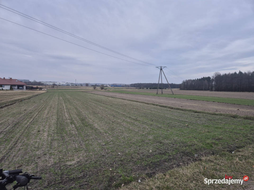 sprzedaży działki 1636m2 Tychy Barwna