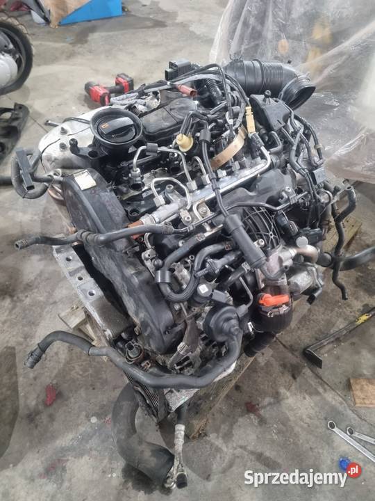 Silnik 20 TDI CEGA Seat Leon Skoda Octavia Starachowice sprzedam