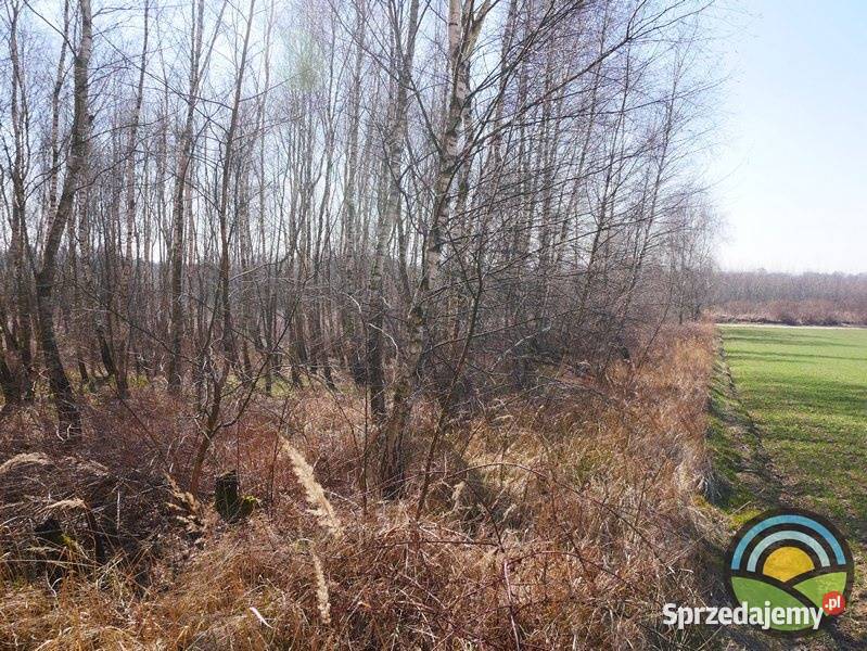 Morawica gm Liszki dzialka 2803 m2 pod produkcję