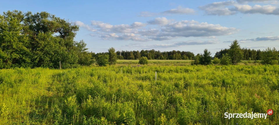 DZIAŁKA NA GRANICY ŁODZI Z POZWOLENIEM NA BUDOWĘ Leśne Odpadki sprzedam