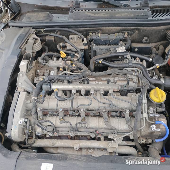 Alfa Romeo 166 24 JTD 2006 Sprzedaz Zamiana nieuszkodzony Bychawa