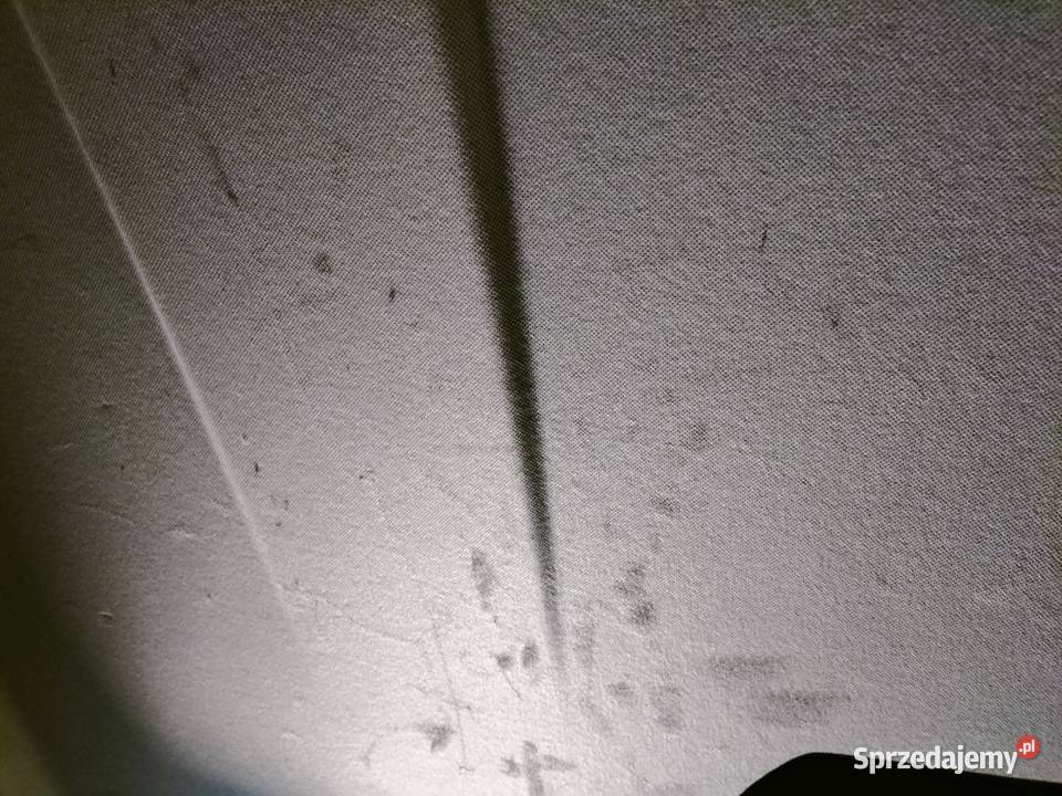 Pranie tapicerki Toruń