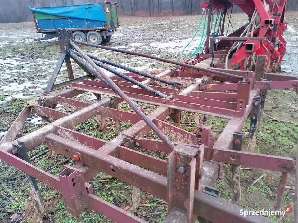 Gruber świętokrzyskie Klimontów