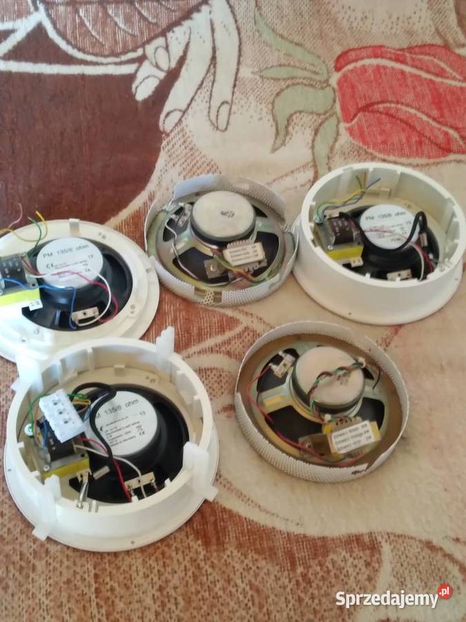 Głośniki łódzkie