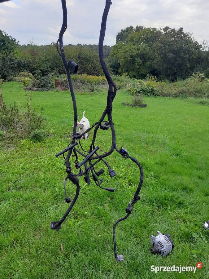 Silnik golf VI 16 tdi 105 na części Będzin