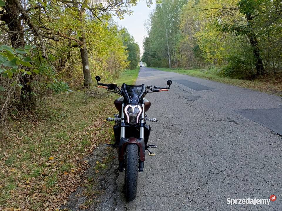 Benelli 502C 2019 Baby Diavel bezwypadkowy Krzepice