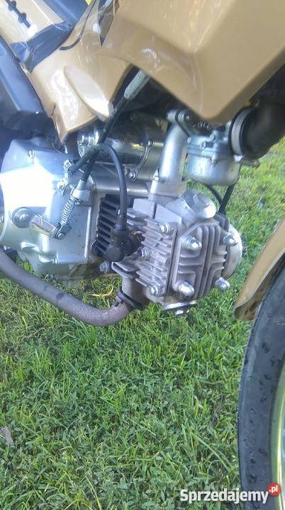 Zumico Ronin 2 Czemierniki