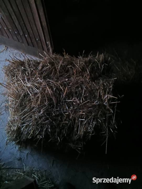 Słoma w kostkach Iłownica