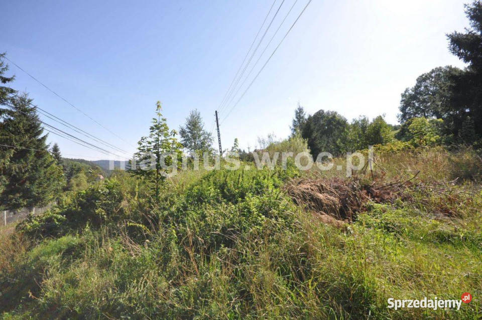 Urocza działka w Grzmiącej z wydanymi warunkami dolnośląskie Grzmiąca