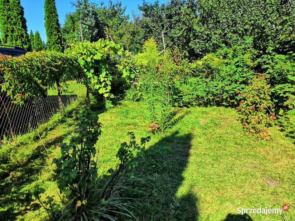 Działka ROD Wójtowa Rola Sprzedaż warmińsko-mazurskie Olsztyn sprzedam