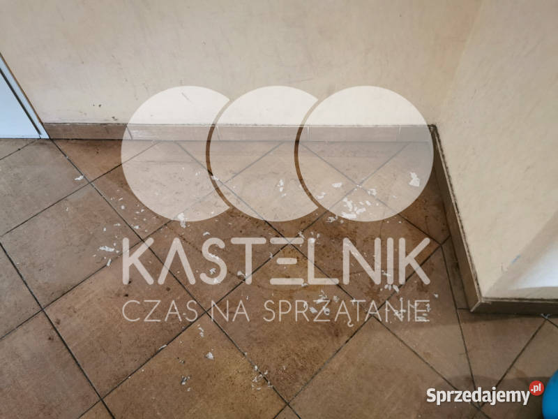 Sprzątanie zalaniach usuwanie szkód Mielec