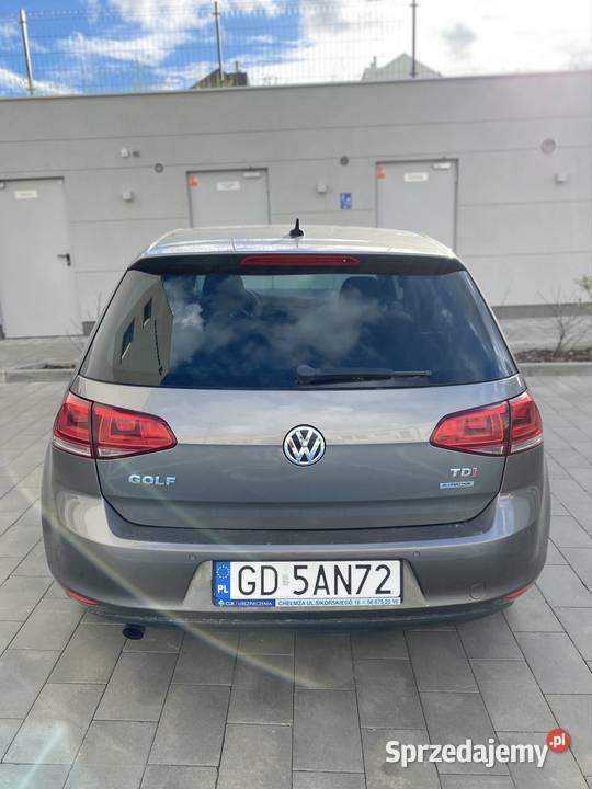 Volkswagen Golf VII 16 TDI 105 ACC Keyless Navi Gdańsk sprzedam