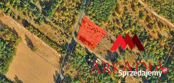 Grunt 1042m2 Kosinowo szambo Nieruchomości