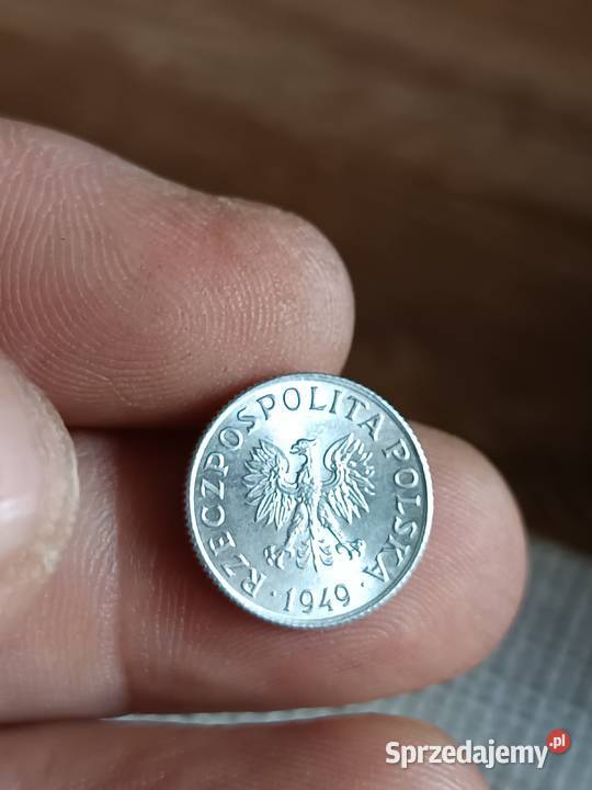 Sprzedam 1 grosz 1949 ccc Chełm