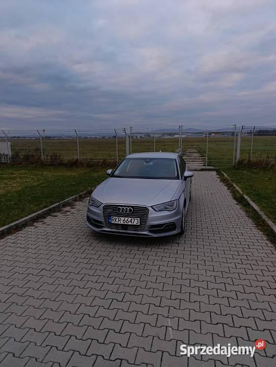 Audi a3 etron hybryda 14 tsi 204 126000km podkarpackie Świerzowa Polska