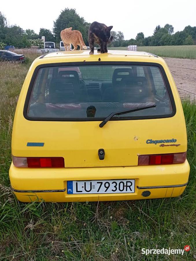 Cinquecento Sporting Lubartów