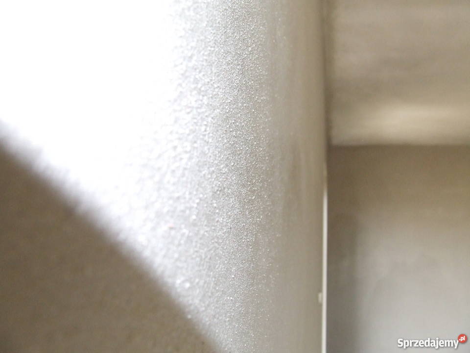 tynki maszynowe Września 723959039