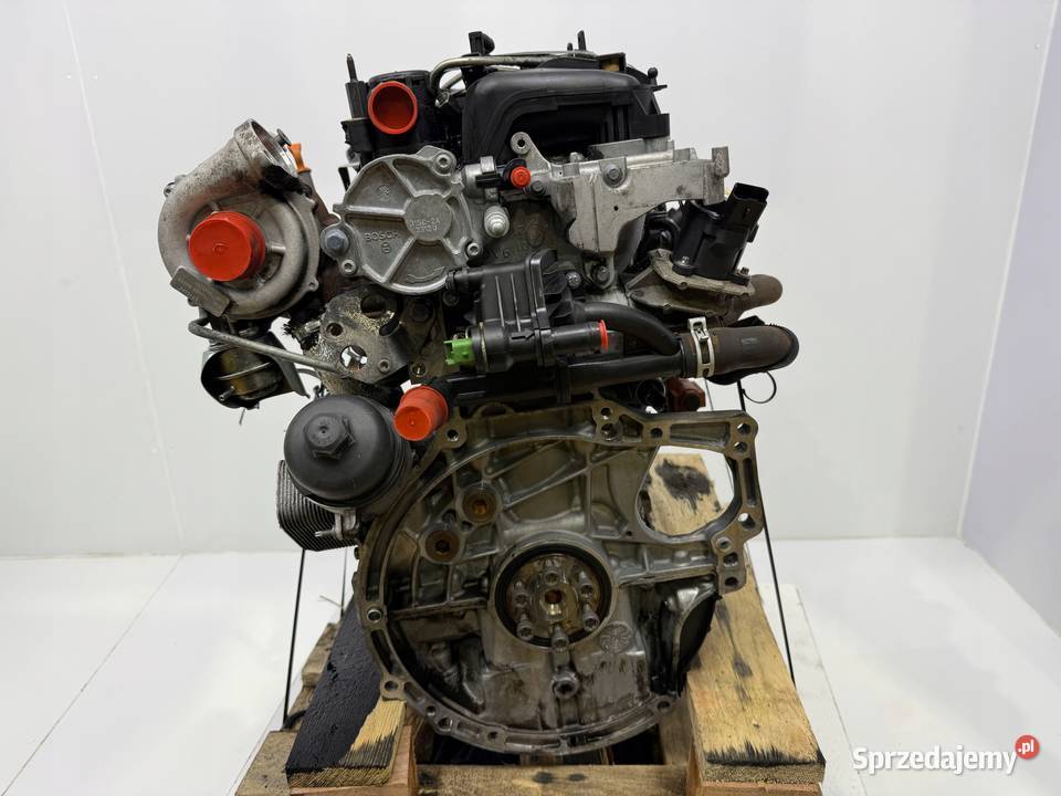 SILNIK G8DF Ford Focus II MK2 C C 16 TDCI 109 osobowe Silniki kompletne Chełm