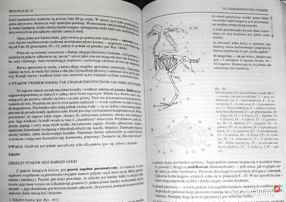Biologia kl 2 Waldemar Lewiński Pozostałe Chełm sprzedam